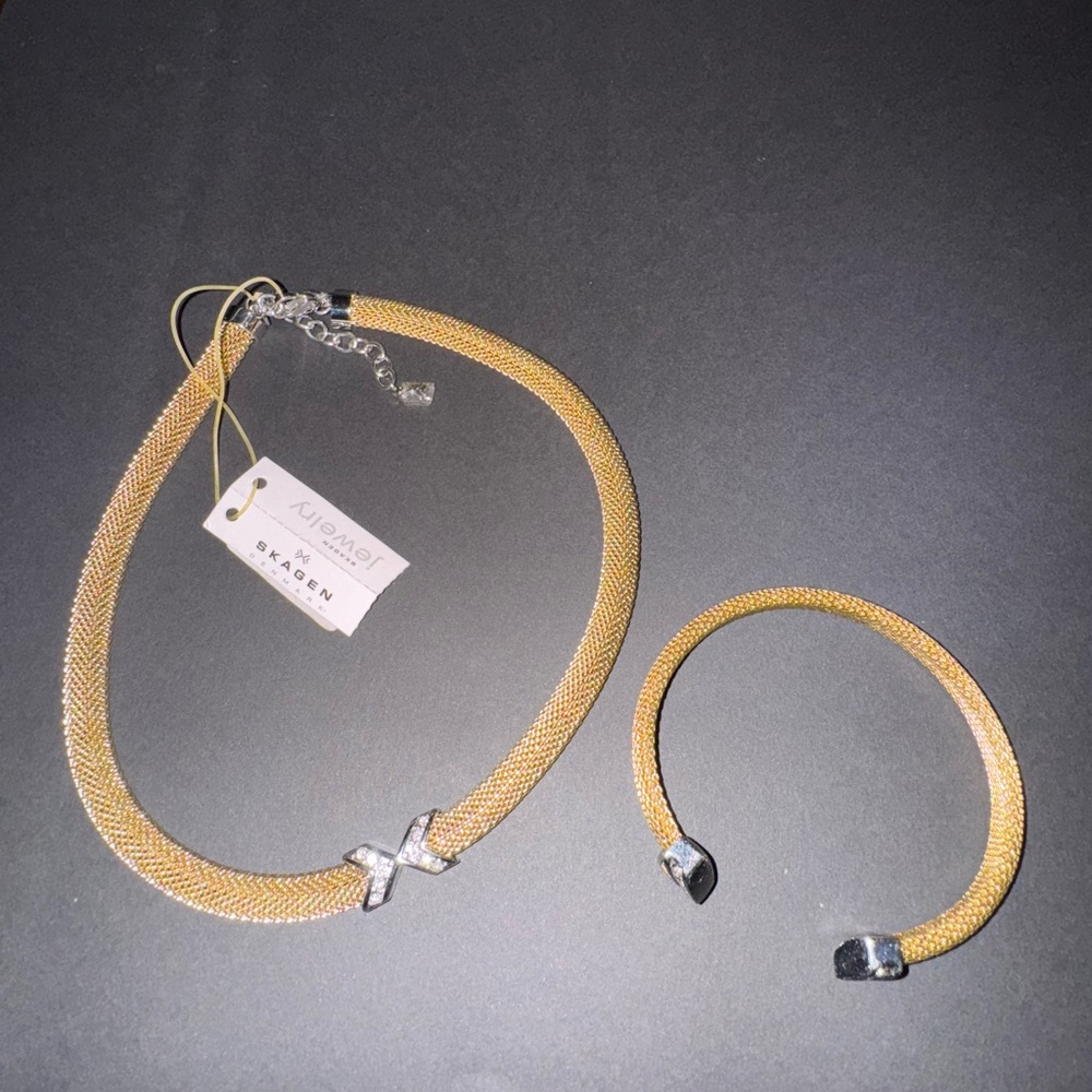 Skagen Stainless Steel and Swarovski Elements Necklace Set